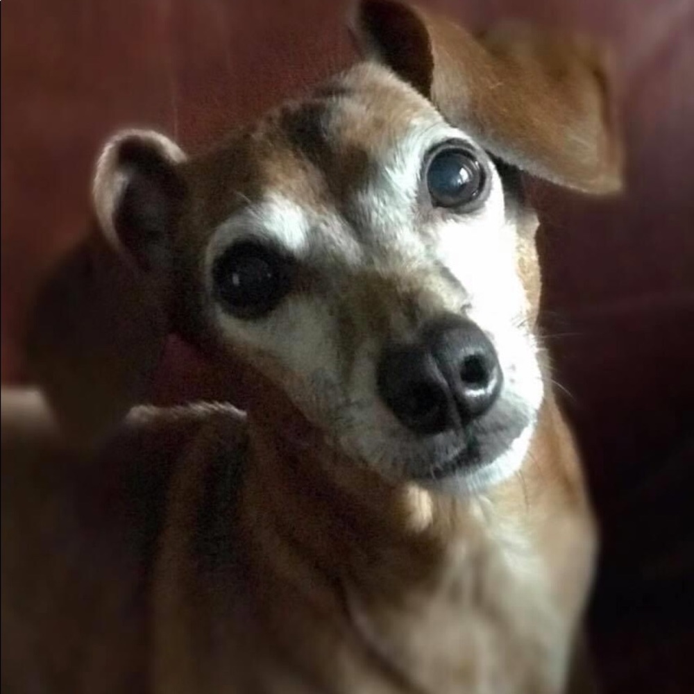 Meet your Posher, Sherri